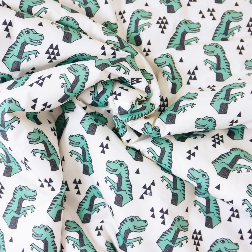 Dinosaur Blanket Flat lay